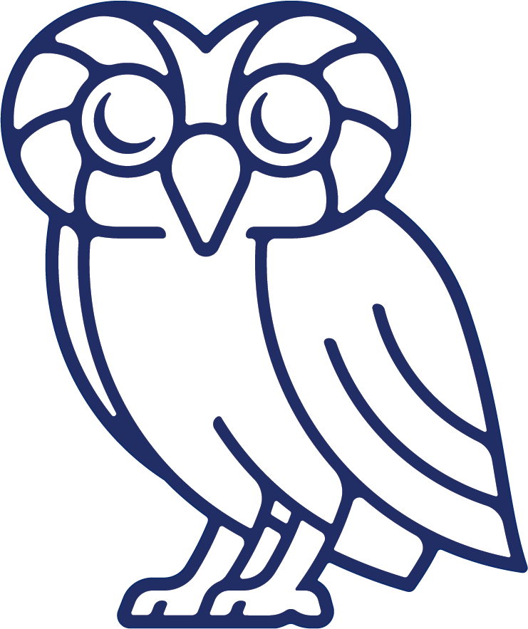 Rice Owl