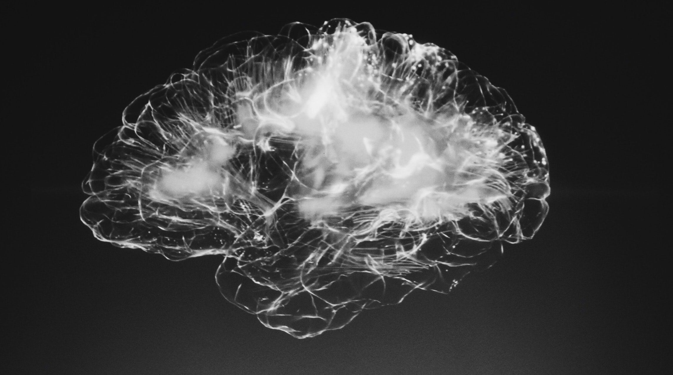 neuroscience visualization