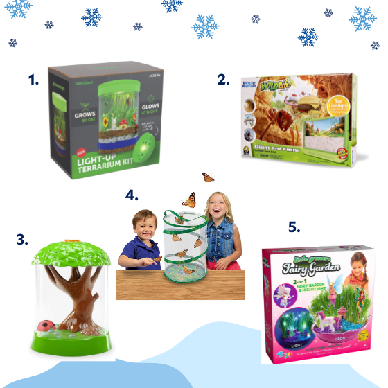 Pictures of different STEM toys