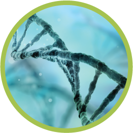 Science, Technology & Health